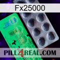 Fx25000 new04